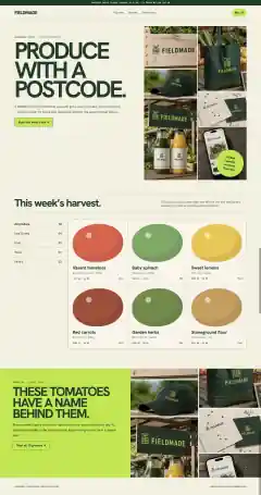 Full-page FieldMade concept website